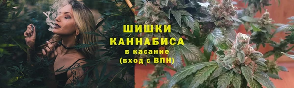 мескалин Касимов