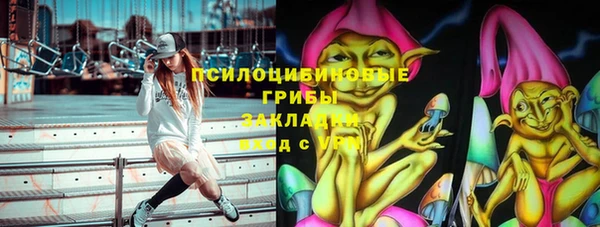 мескалин Касимов