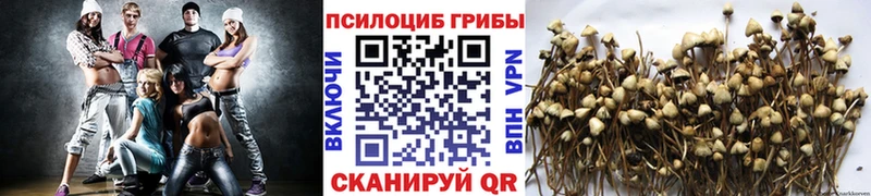 Псилоцибиновые грибы Magic Shrooms Зеленодольск