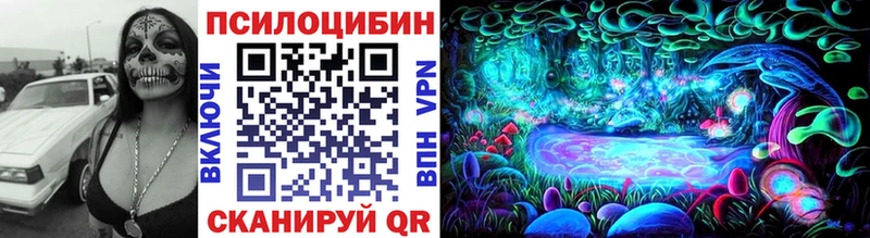 Псилоцибиновые грибы Psilocybine cubensis  Купить где  Зеленодольск 